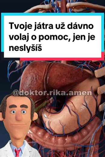 Tvoje játra už dávno volaj o pomoc, jen je neslyšíš #pohoda #zdravahrana #zdravi #zdravastrava #vyziva