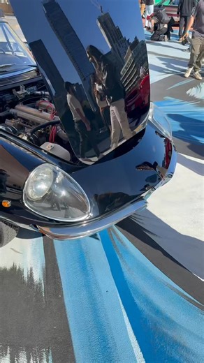 Alfa Romeo Duetto Spyder | RUN RICH