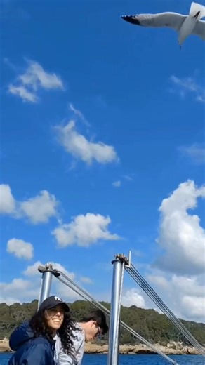 11 reactions | ️ En invierno, nuestros barcos descansan. Después de meses de actividad, toca revisar, proteger y preparar todo para que estén en perfectas condiciones de cara a la próxima temporada 2026. Así es como “llevamos” el barco a su descanso de invierno en el puerto de Mahón. #AmigosBoatTrips #Menorca #Menorca365 #PuertoDeMahon #InviernoEnMenorca #MantenimientoNáutico #VidaEnElMar #IslasBaleares #mediterráneo | Amigo's Boat Trips | Facebook