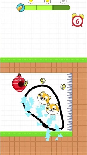 save the pets level 21