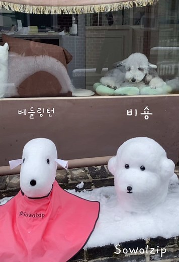 미용사는 눈도 시저링하죠?! #눈사람#베들링턴테리어#비숑#소월집