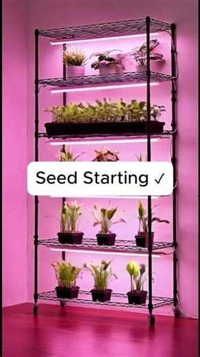 150W Grow Lights + Wheels = Game Changer!