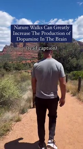 Nature walks can greatly increase the production of dopamine in your brain Spending time in nature can have various positive effects on dopamine, the neurotransmitter associated with pleasure, reward, and motivation. This happens by several different ways: 1. Reduced Stress: Being in natural environments has been shown to reduce stress levels. Lower stress levels are associated with decreased cortisol (a stress hormone) and increased dopamine release, contributing to feelings of relaxation and i