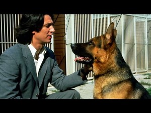 Il commissario Rex 🐕 - 1x02 Capolinea Vienna - L'inseguimento di Rex insieme a Moser 👮🏻‍♂️ ITA