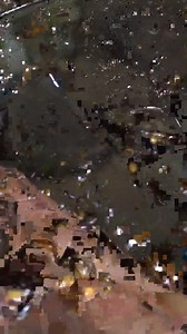 Are these creatures living nightmares?! #bravewilderness #wildlife #nature | Brave Wilderness