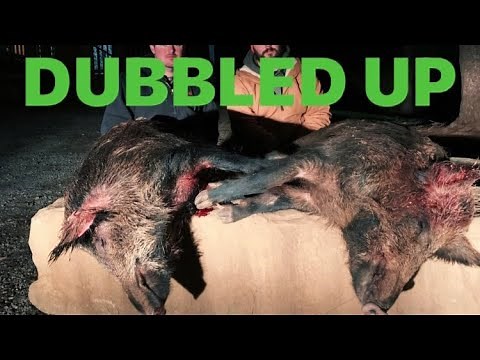 Wild Boar Hunting in Tennessee Episode #3