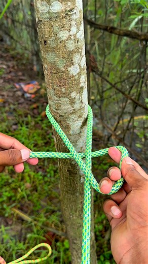Strong Tree Binding Rope Knot | Easy & Secure Knot Tutorial #survival #lifehacks #knot