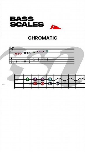 Bass guitar lessons for beginners, Chromatic Scales, How to play bass guitar
