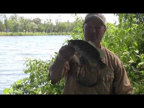 Boatless angler - techniques on how to fish under a bridge from shore