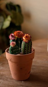 Cactus rock painting #rockpainting #naturecrafts #RainyDayCrafts #simplecrafts | Sibster
