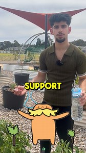 **Start your 7-Day FREE TRIAL with The Speedrunners Program TODAY!!!** Want to guarantee that you get that 40 study score? Get the proven step-by-step system I used to: 1. Get a Perfect 50 RAW in VCE Maths Methods 2. Help students go from 50% -> 95% in as little as 2 WEEKS!!! 3. Boost students' confidence with our SBS and ACES System Want to get a 40 Study Score?? What are you waiting for? Start your 7-day Free trial 🚨NOW!🚨 See you on the inside ❤️ | Boost Maths Methods