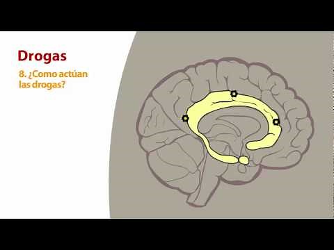 8 - ¿Cómo actuan las drogas?