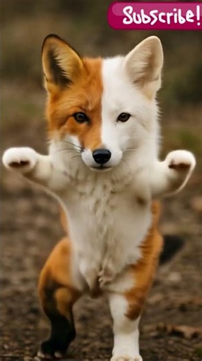 Funny Fox Dance 2025 🦊 | Viral Animal Short Video#dance #shorts