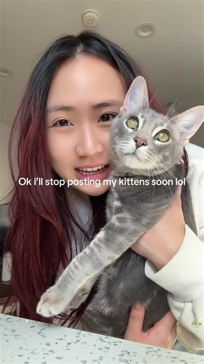 Sorry the voice lmfaoo | cats