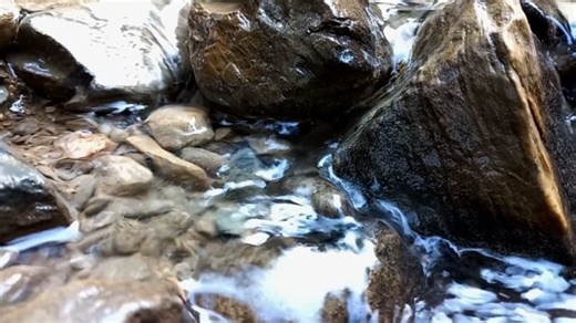 Water Flow, Stream, River. Free Stock Video