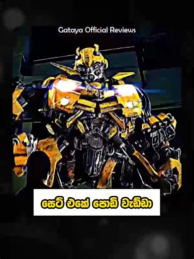 42K views · 2.8K reactions | Bumblebeeට හැමෝම කැමතීනේ.. 烙 ඒත්...