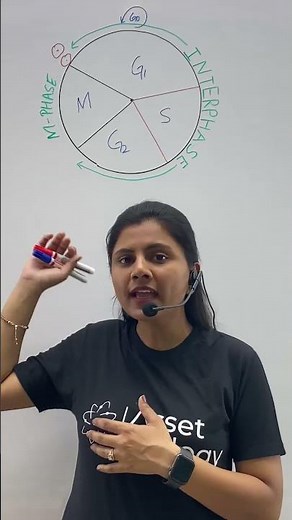 Phases of Cell Cycle | Cell Cycle & Cell Division | Class 11 Biology | NCERT | NEET