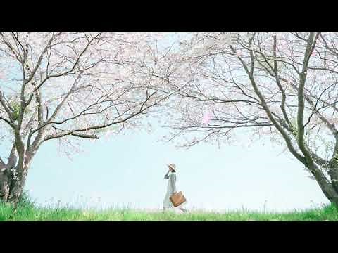 春に聴きたい曲感動する歌 2020 🌸 邦楽 春の歌 春うた 人気の春ソング メドレー