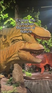 12 Best Ottawa Attractions for Families