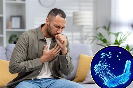 What is Legionnaires’ disease and how do you get it? Pneumonia-like outbreak sweeps Harlem, killing two