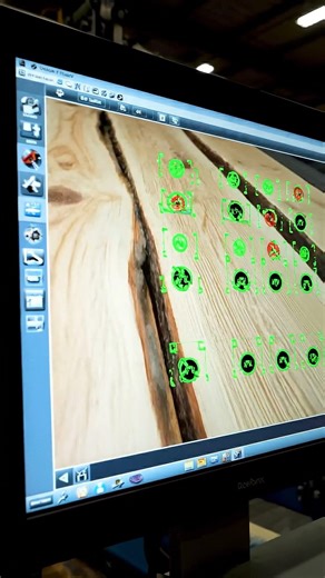 The sorting line uses high speed flashing cameras like traffic signs #ruraltechreview #wood
