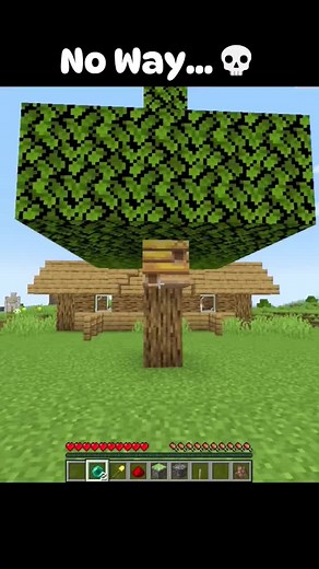 Minecraft (36)