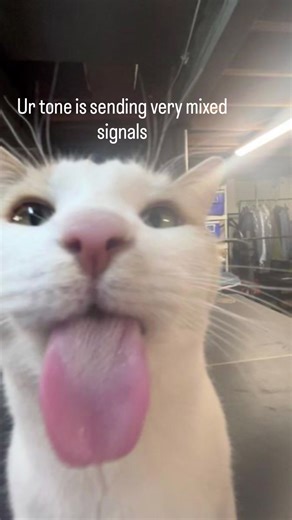 watermelonman (@watermelonman953)’s videos with original sound - watermelonman