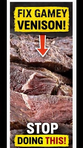 This Is Why Your Venison Is Tough