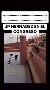 El Perro rabioso JP | El Despertar Del Pueblo