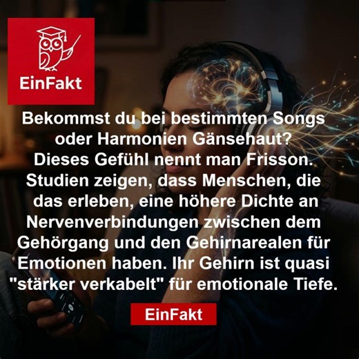 Gänsehaut bei Musik? | Das Geheimnis von Frisson erklärt | EinFakt