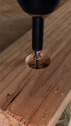 Hide any size screw using a dowel. #woodworking #shorts