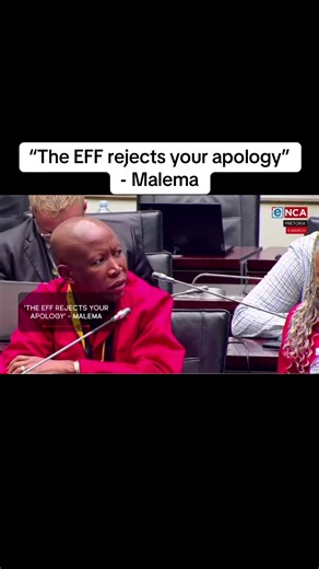 Malema Confronts O'Sullivan in Parliament