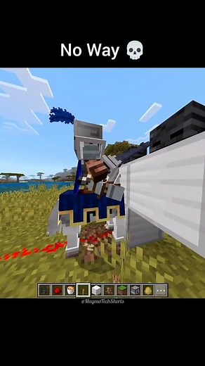 Minecraft Villager Night Moment 🙀