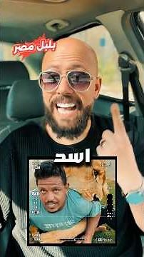 مفاجأة فيديو الأسد 🦁والله يبنى إنت أسد مصرى 😳💪🇪🇬