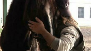 Italy's Bollate, more than just a prison