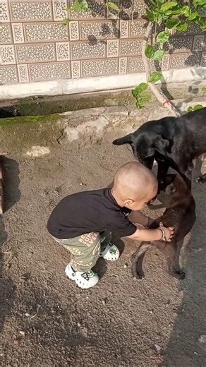I'm dogs🐕 Lover