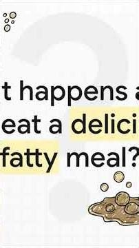 Biliary System Anatomy – Structure, Ducts & Clinical Importance #neetpg