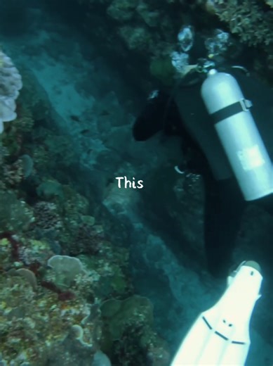 Beach Adventures: Scuba Diving and Beachcombing Fun