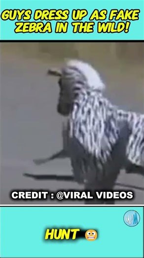 This Fake Zebra Made a HUGE Mistake, Worst Safari Prank Gone TOO Far!