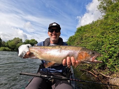 Learning How To Catch Trout In New Zealand