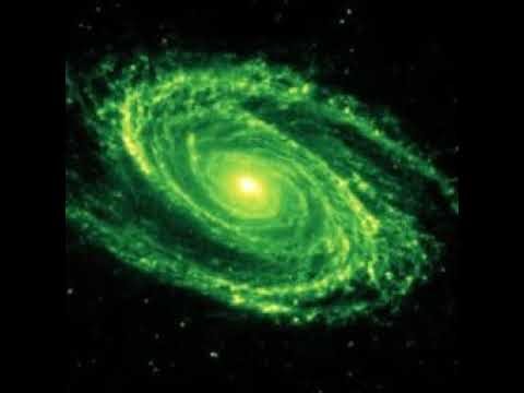 That Bot Live Stream