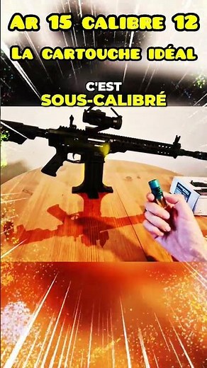 AR15 12 GAUGE THE IDEAL CARTRIDGE #ar15nationtactical #armament #ar15news