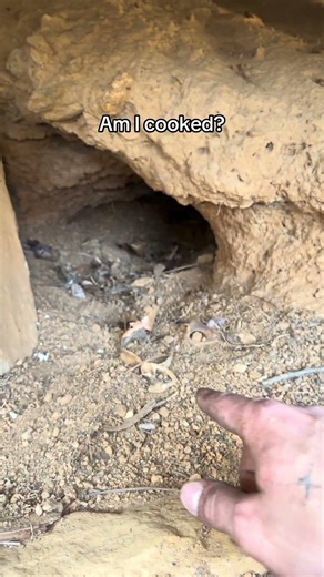 What is an eye socket bone 😭 idk why I said that