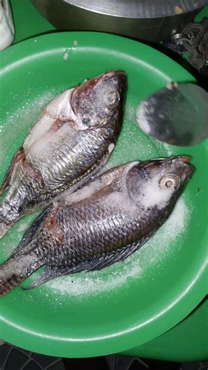 How to preserve fish using salt💥💥