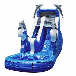[Hot Item] Commercial Adult PVC Inflatable Bouncer Water Slide with Swimming Pool