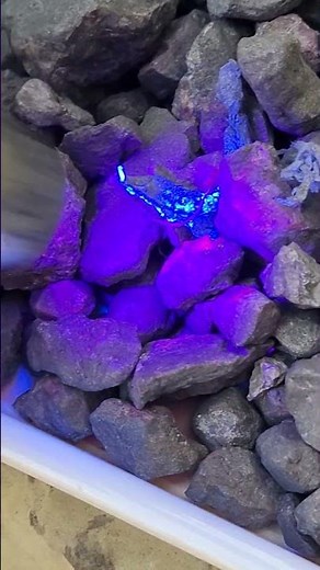 How to check rubies from rocks with UV light #ruby #gemstone #sapphire