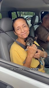 199K views · 10K reactions | APA! continues to be on the ground in...