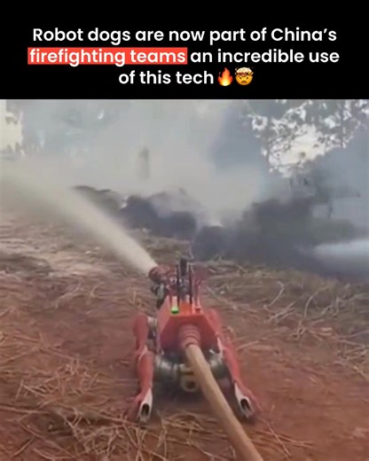 Robot dogs are now part of China's firefighting teams an incredible use of this tech💀 | Tech Moves