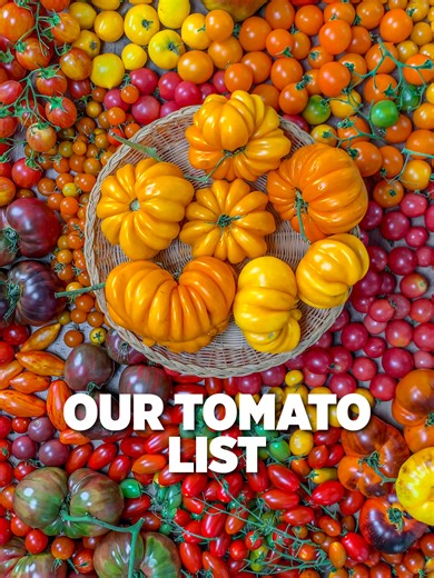 Not all tomatoes grow the same way. Indeterminate varieties keep growing and growing. Give them a tall trellis and let them climb. Determinate types stay compact, making them perfect for containers and tomato cages. Then there's micro dwarf tomatoes, so small they thrive in tiny pots, hanging planters, and even vertical setups. Knowing the difference changes everything about how you plan your garden. Our book