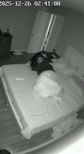 My Cats Decided 3AM Was the Perfect Time to Fight on Me